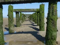 Hus Luettje Eiland Inselbilder 014